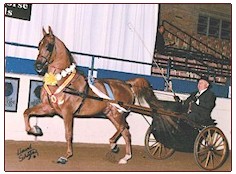 Mike Capobianco and KF Six Shooter