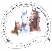 AHA Region 16 Logo